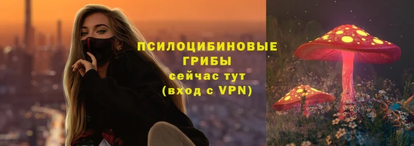 герыч Коряжма
